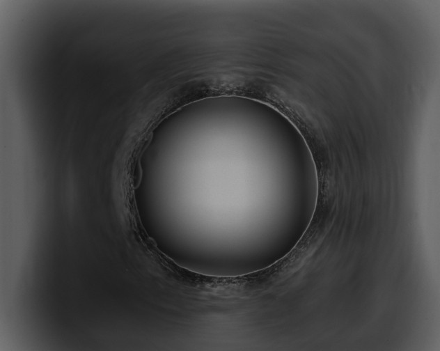 X0000100781153200806191256