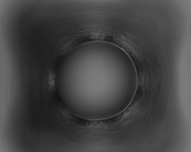 X0000100781154200806191256