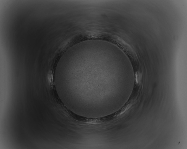 X0000100781155200806191256