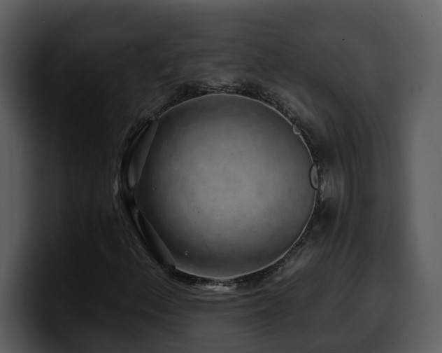 X0000100781156200806191256