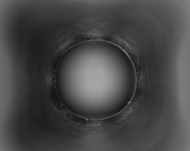 X0000100781157200806191256