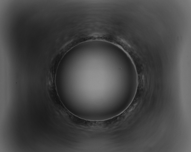 X0000100781158200806191256