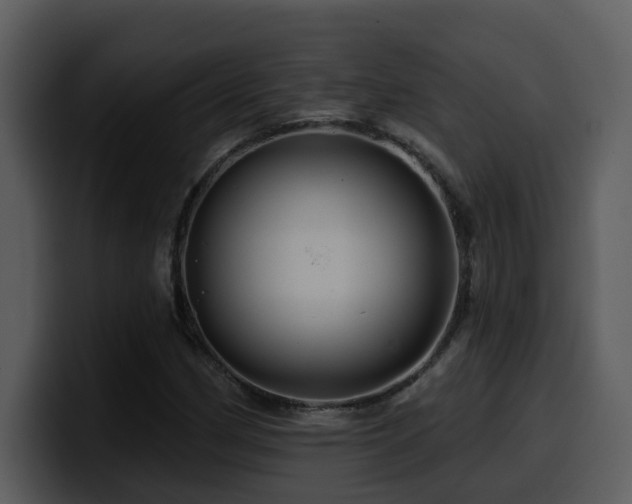 X0000100781162200806191256