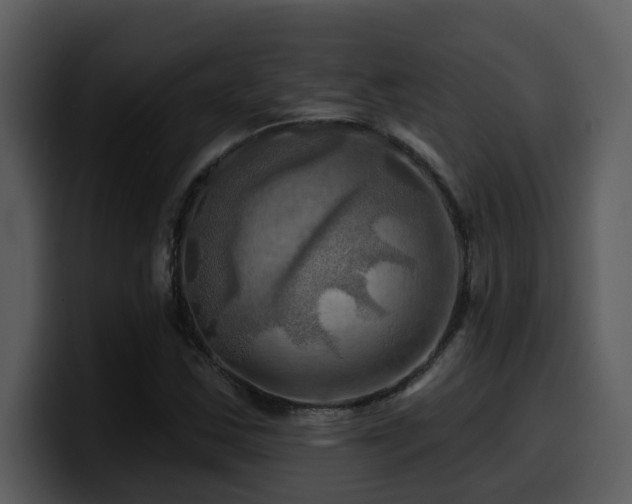 X0000100781163200806191256