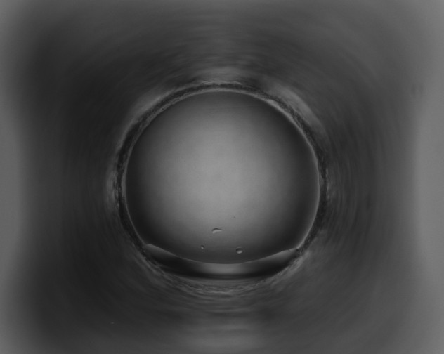 X0000100781164200806191256