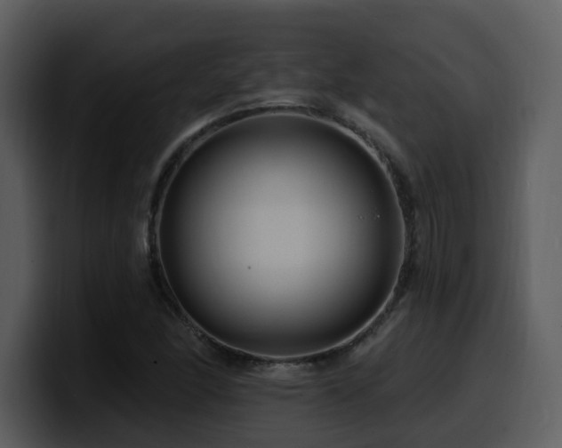 X0000100781166200806191256