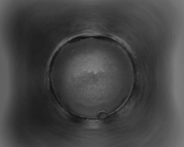 X0000100781168200806191256