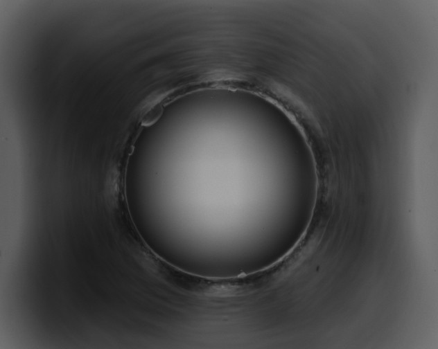 X0000100781169200806191256