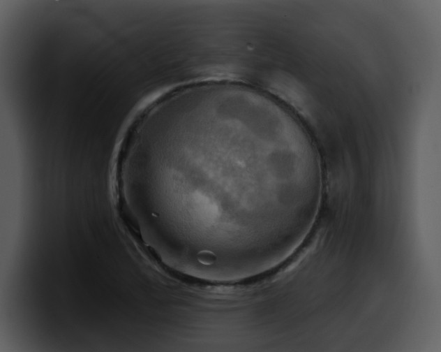 X0000100781172200806191256