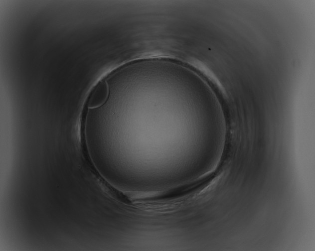 X0000100781173200806191256