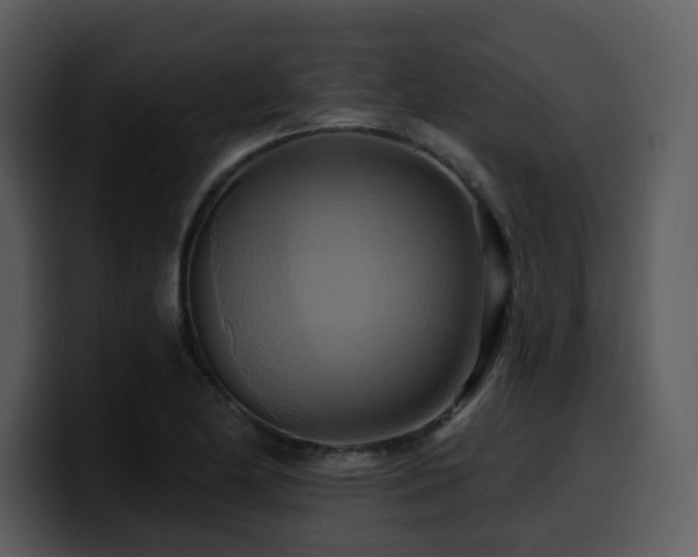 X0000100781174200806191256