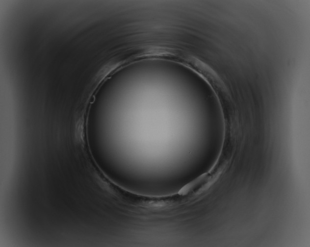 X0000100781177200806191256