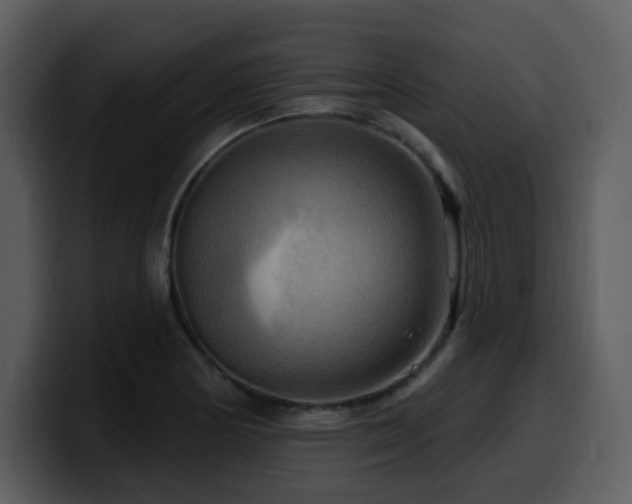 X0000100781178200806191256