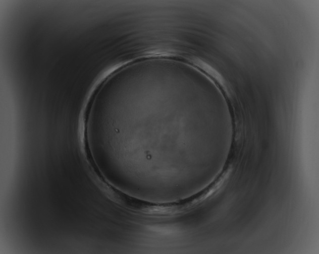 X0000100781179200806191256