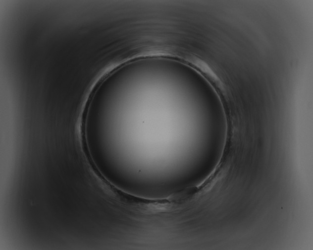 X0000100781181200806191256