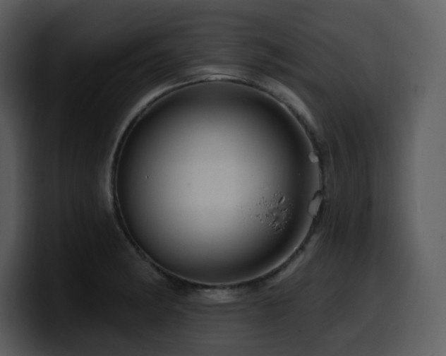 X0000100781182200806191256