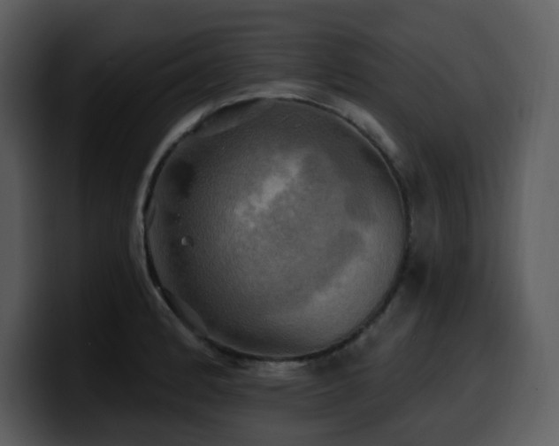 X0000100781184200806191256