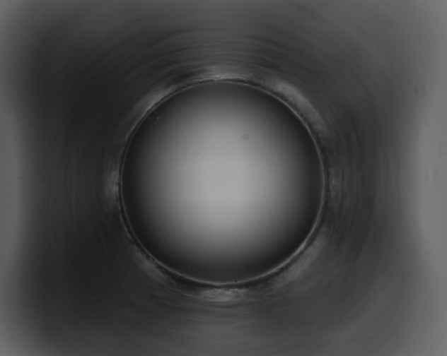 X0000100781185200806191256