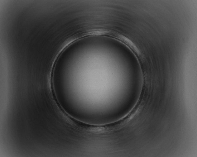 X0000100781186200806191256