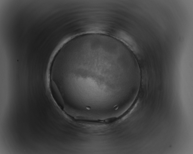 X0000100781188200806191256