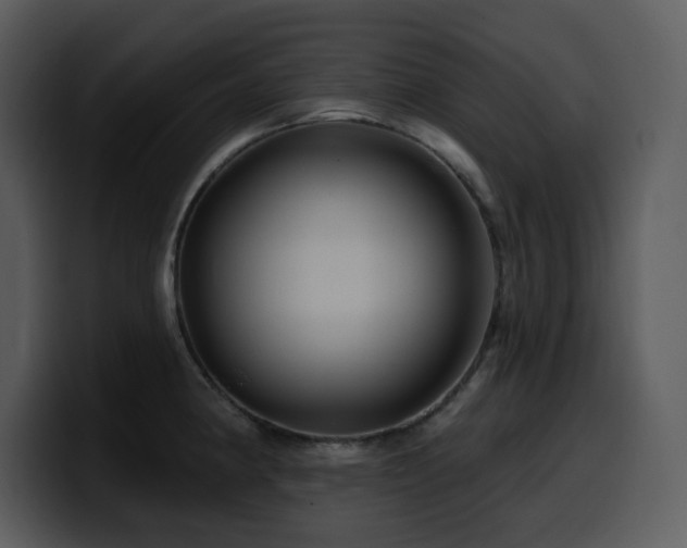 X0000100781190200806191256