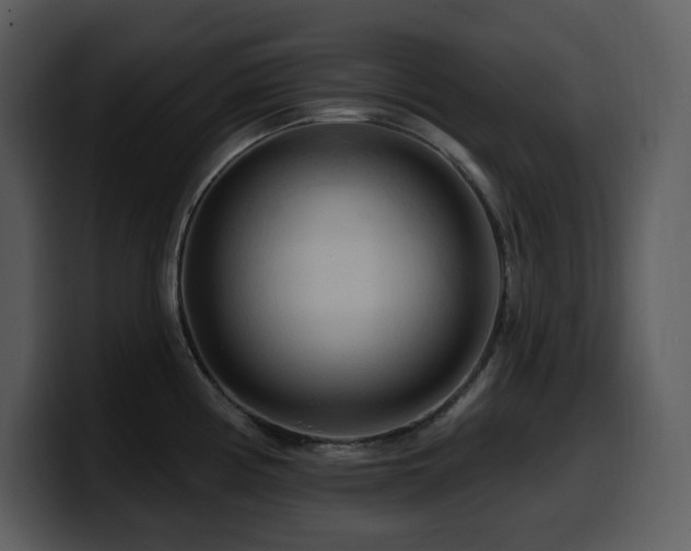 X0000100781194200806191256