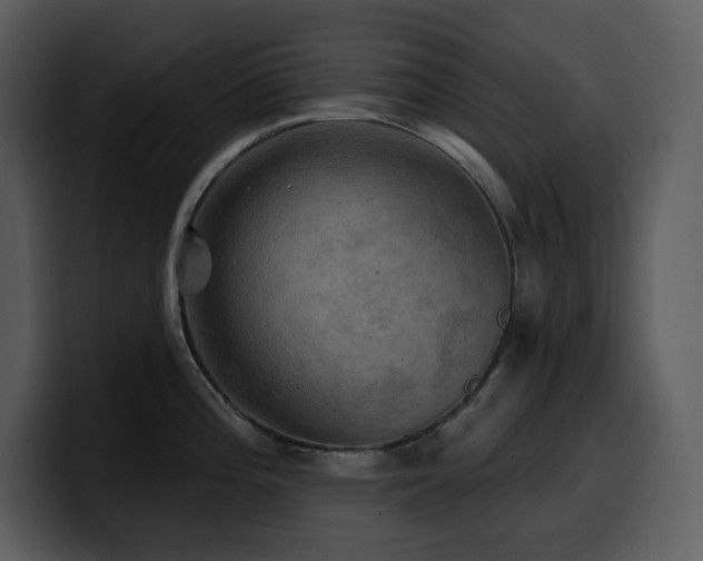 X0000100781196200806191256