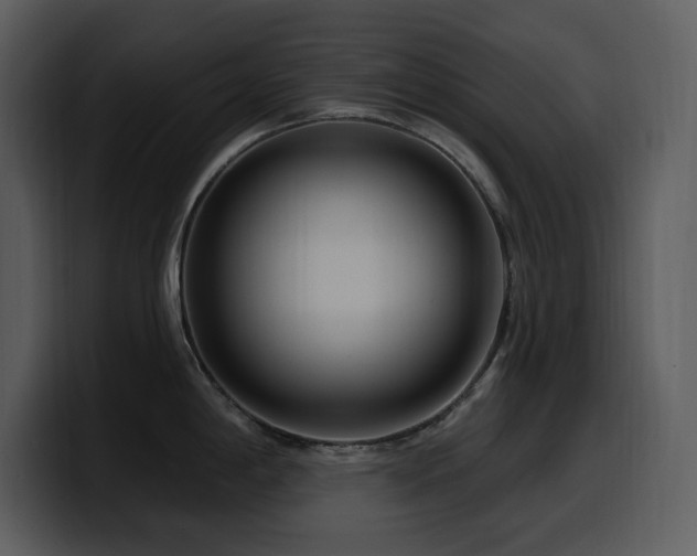 X0000100781198200806191256