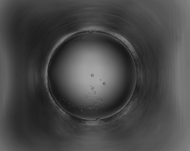 X0000100781199200806191256