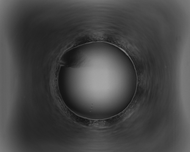 X0000100781201200806191255