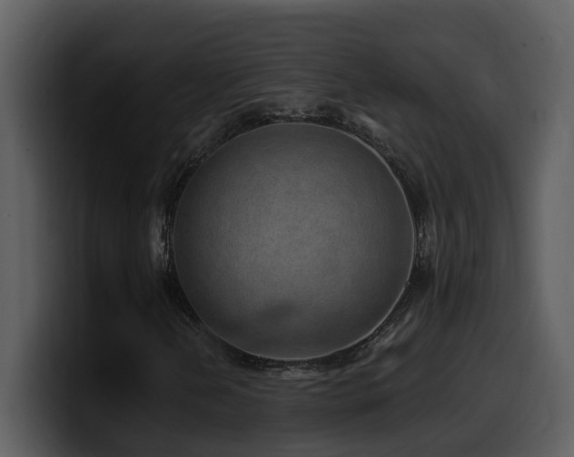 X0000100781202200806191255