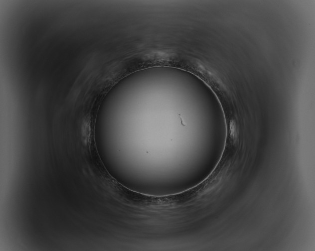 X0000100781203200806191255