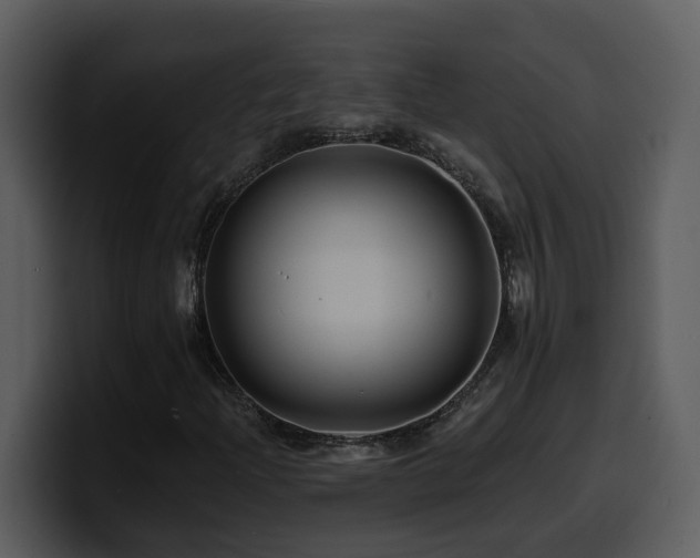 X0000100781204200806191255