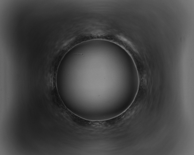 X0000100781205200806191255