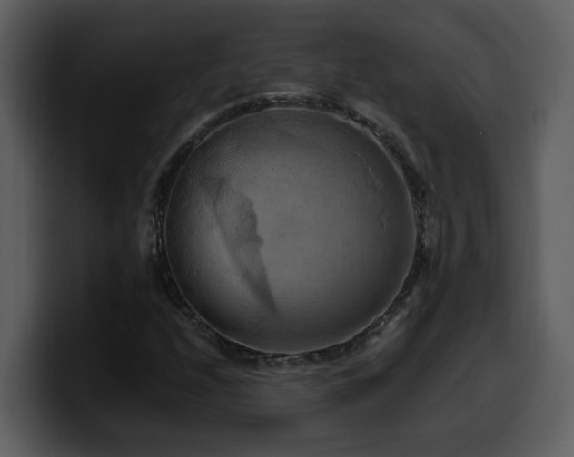 X0000100781208200806191255