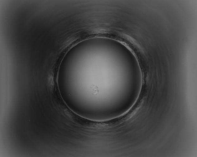 X0000100781209200806191255