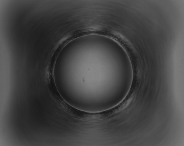 X0000100781210200806191255