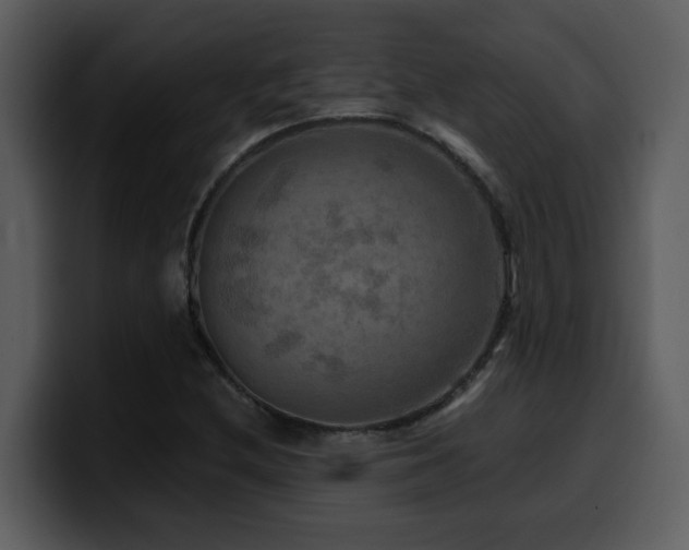 X0000100781212200806191255