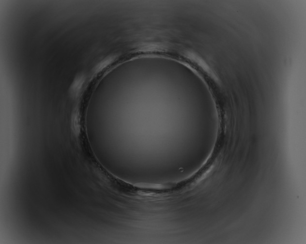 X0000100781213200806191255