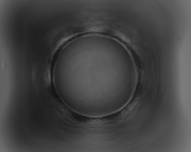 X0000100781214200806191255