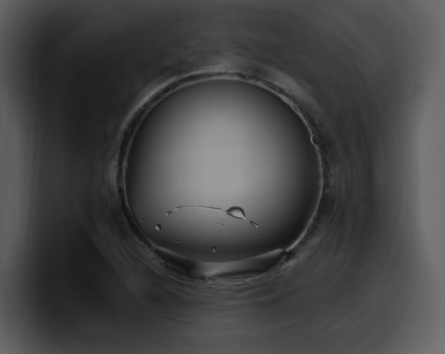 X0000100781216200806191255