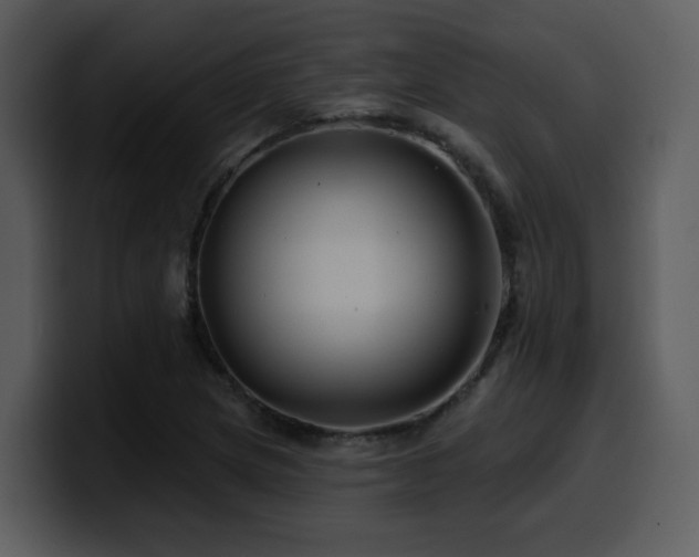 X0000100781217200806191255