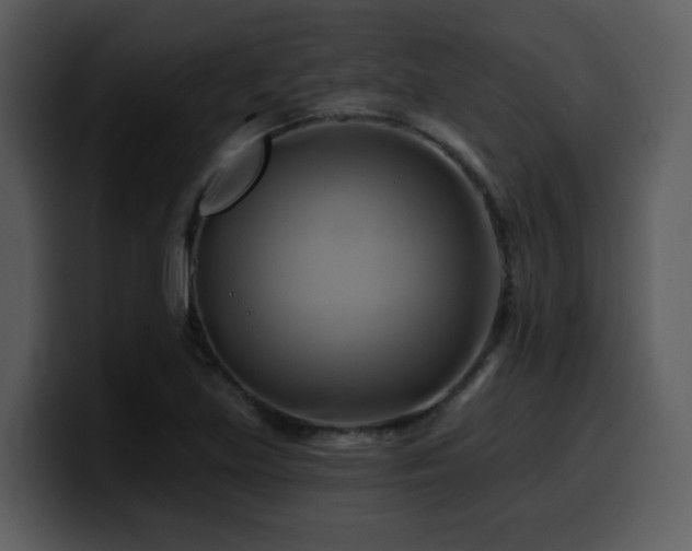 X0000100781219200806191255