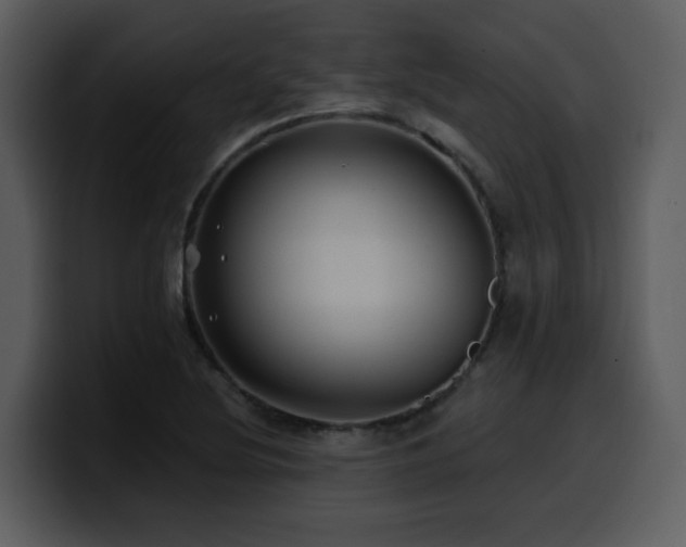 X0000100781220200806191255