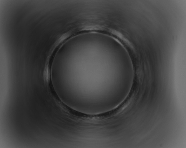 X0000100781221200806191255