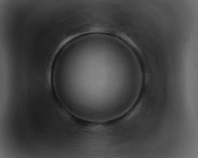 X0000100781222200806191255