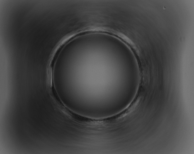 X0000100781223200806191255