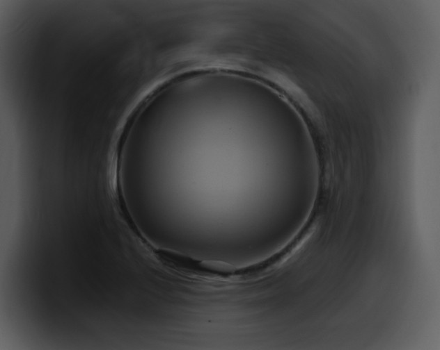 X0000100781224200806191255