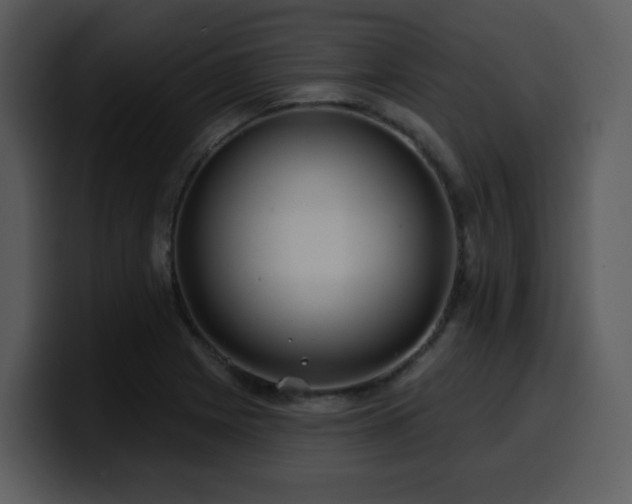 X0000100781225200806191255