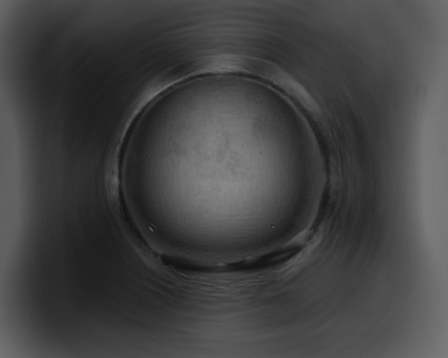 X0000100781226200806191255